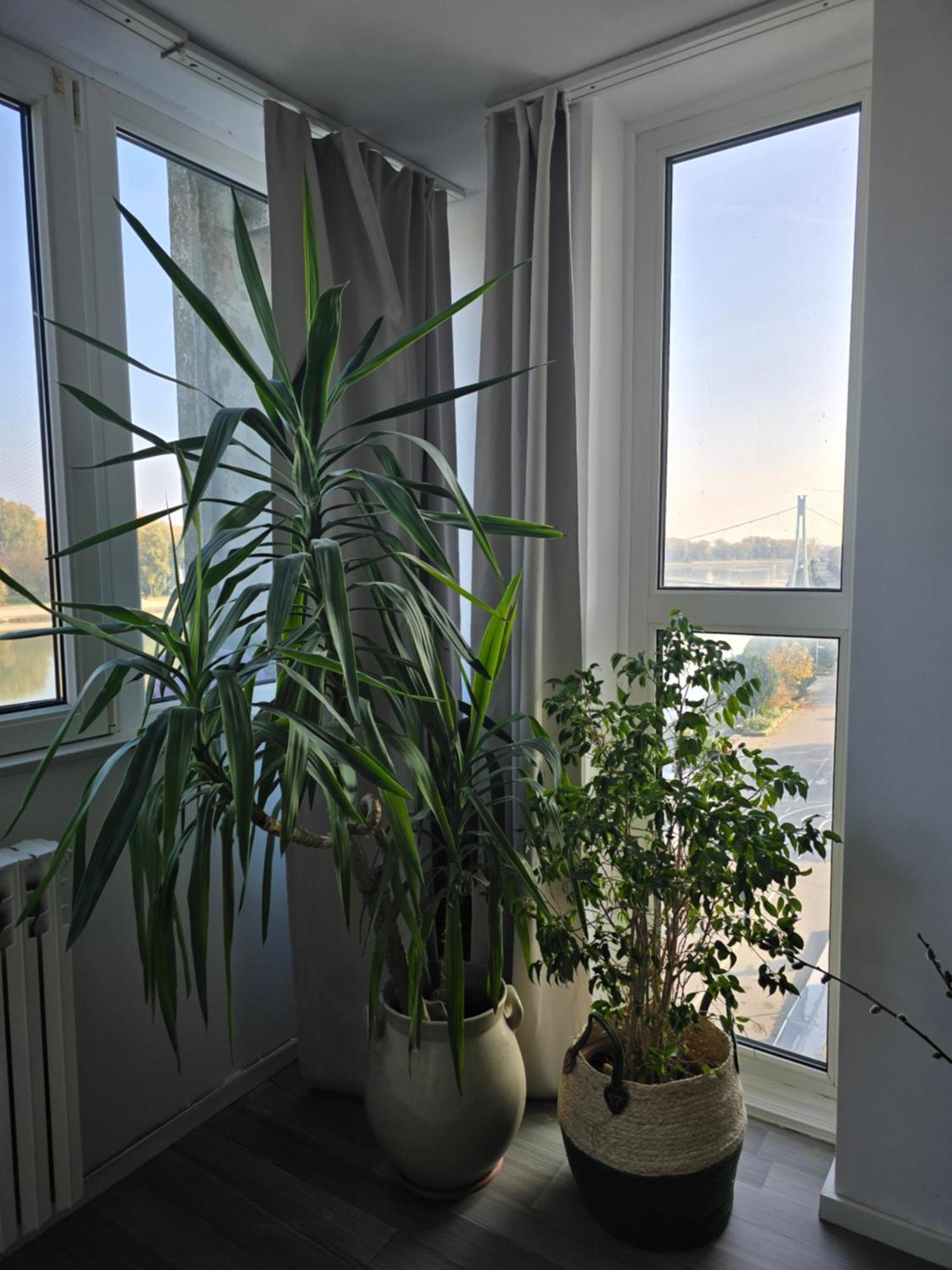 Riverview Apartment Eszék Kültér fotó
